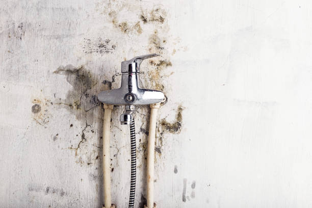  St Gabriel, LA Mold Removal Pros