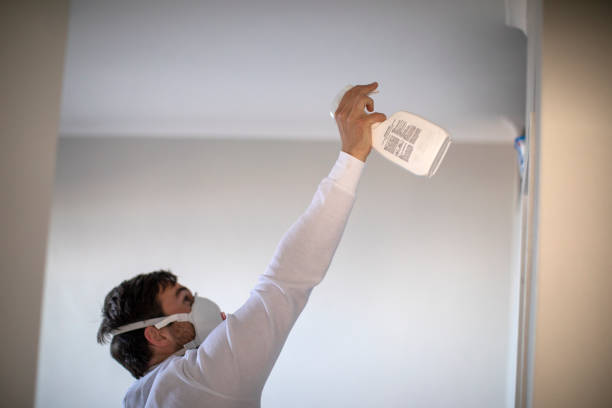 Best Commercial Mold Removal  in St Gabriel, LA