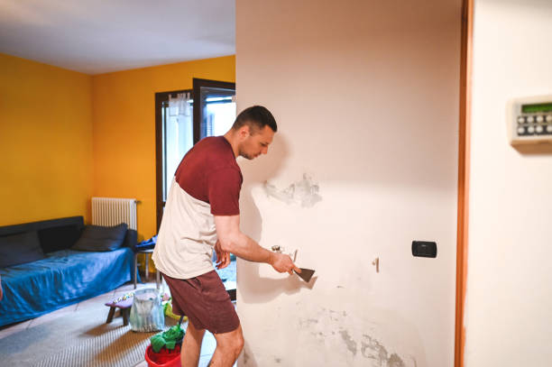 Best Crawl Space Mold Removal  in St Gabriel, LA