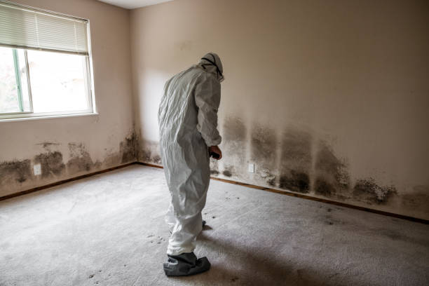 Best Mold Testing  in St Gabriel, LA