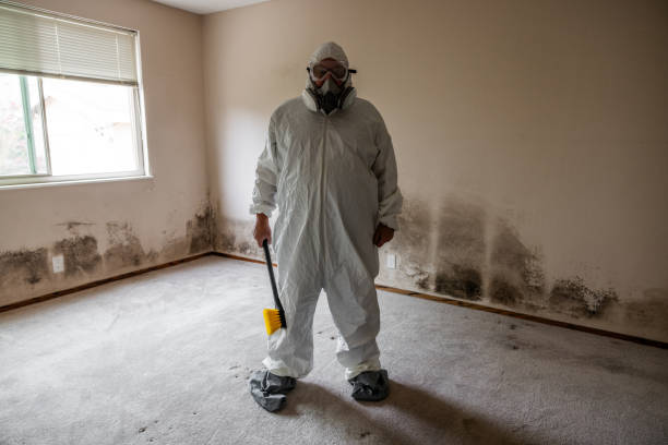 Best Local Mold Removal Service  in St Gabriel, LA